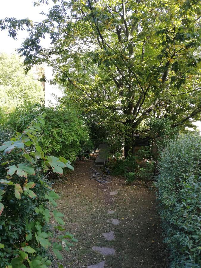 Room In Maisonette With Garden, Parking Place Wien Exterior foto
